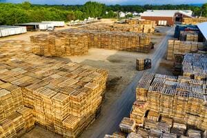 Pallet Gỗ: Giải Pháp Tối Ưu Cho Lưu Trữ và Vận Chuyển Hàng Hóa